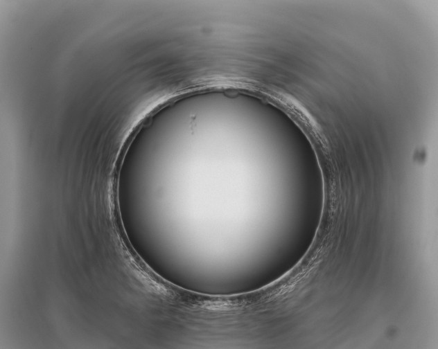 X0000096151182200801251057