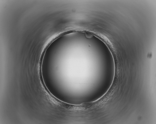 X0000096151183200801251057