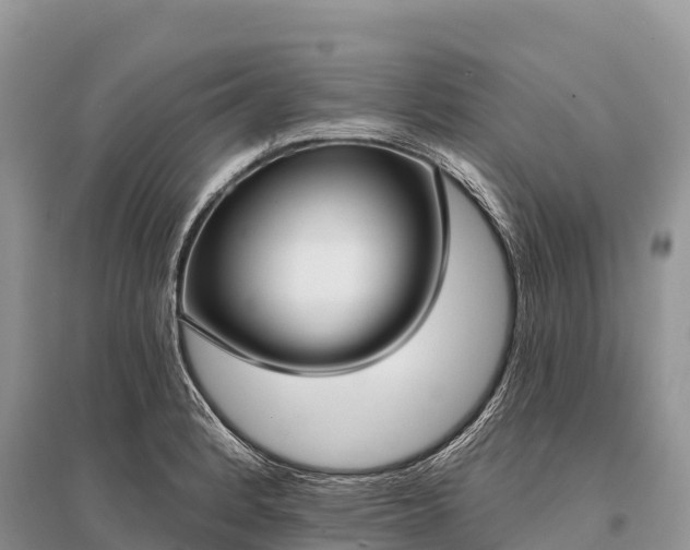 X0000096151184200801251057