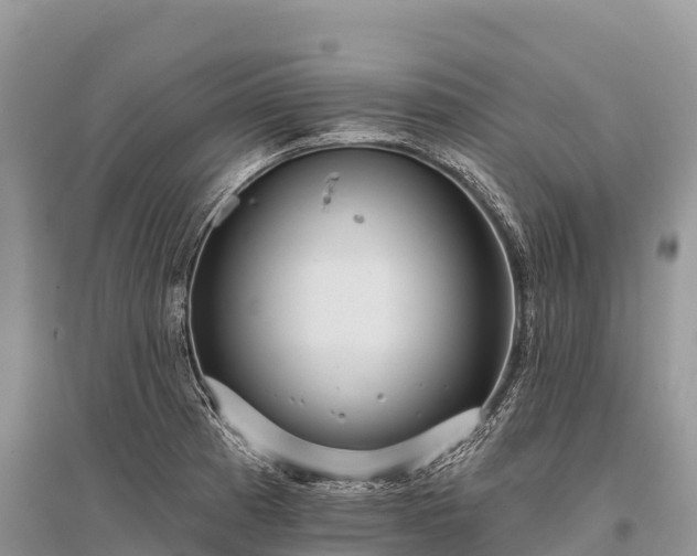 X0000096151185200801251057
