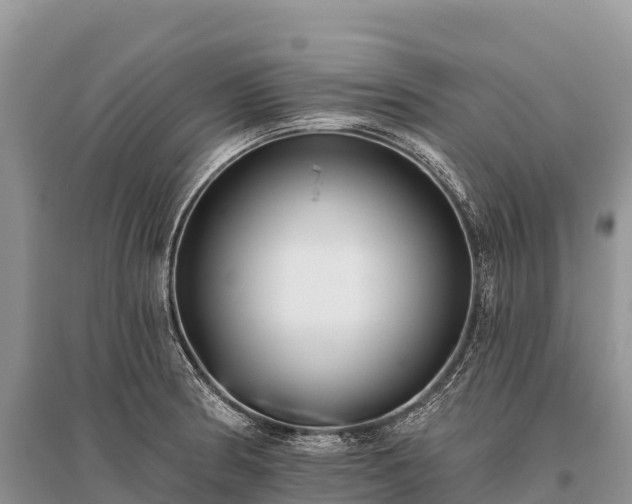 X0000096151186200801251057