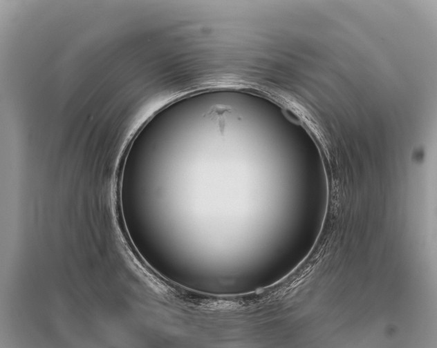 X0000096151187200801251057