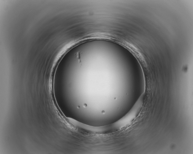 X0000096151188200801251057