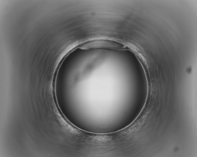 X0000096151189200801251057