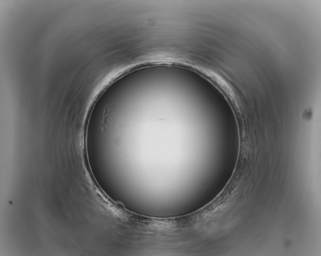X0000096151191200801251057