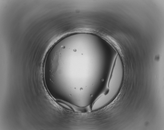 X0000096151192200801251057