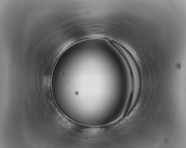 X0000096151193200801251057