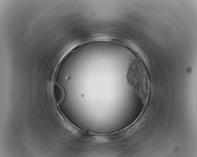 X0000096151194200801251057
