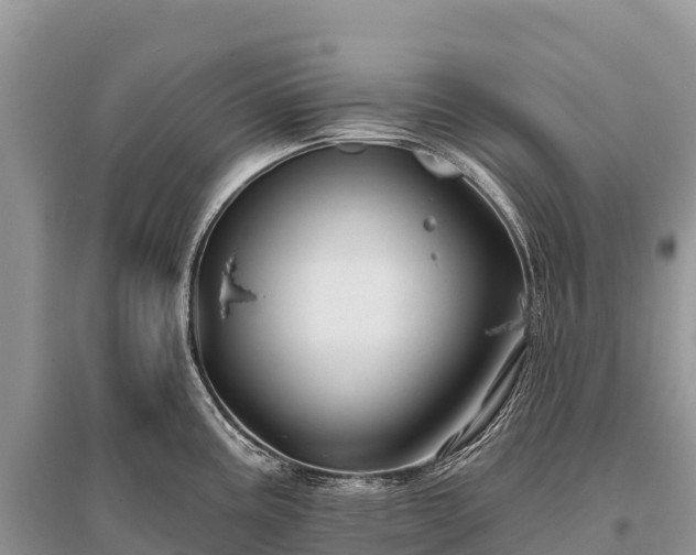 X0000096151195200801251057