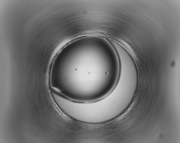 X0000096151196200801251057