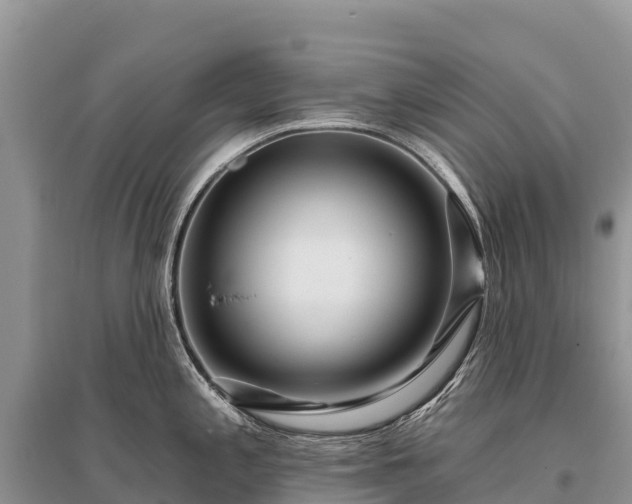X0000096151197200801251057