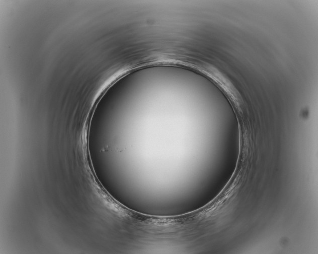 X0000096151198200801251057