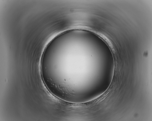 X0000096151199200801251057