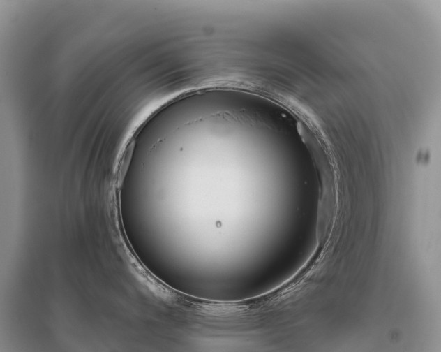 X0000096151200200801251057