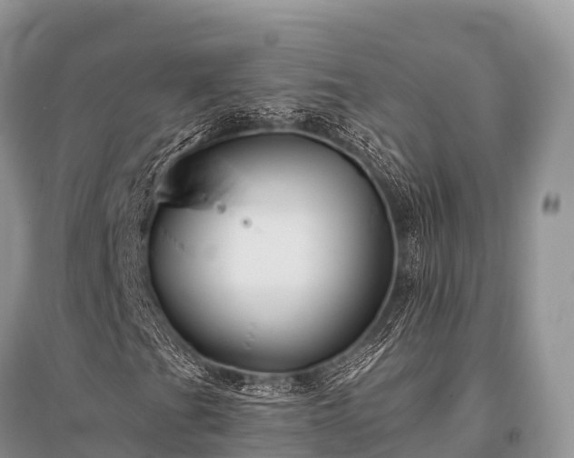 X0000096151201200801251056