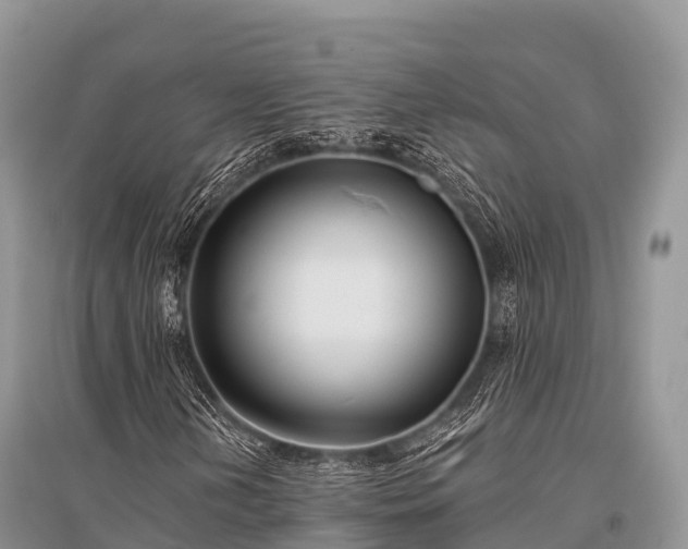 X0000096151202200801251056