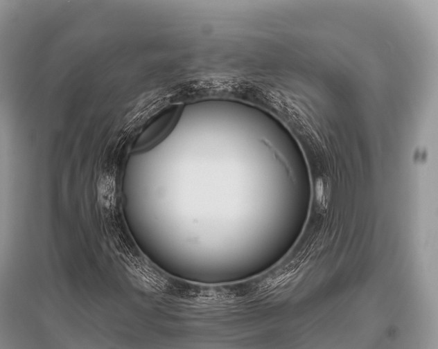 X0000096151203200801251056