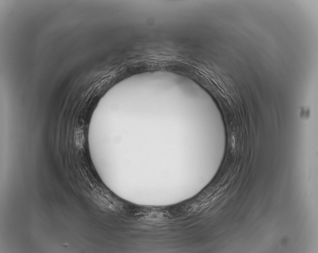 X0000096151204200801251056