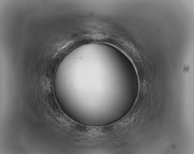 X0000096151205200801251057