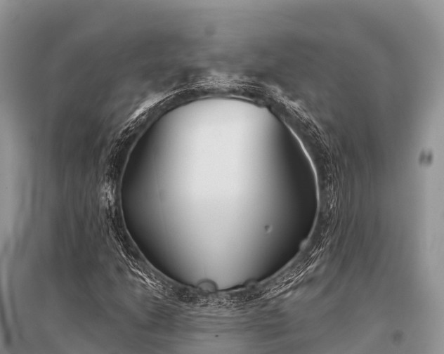 X0000096151206200801251057