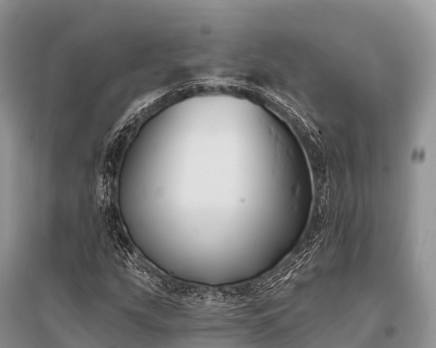 X0000096151207200801251057