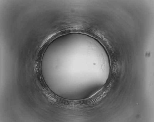 X0000096151208200801251057