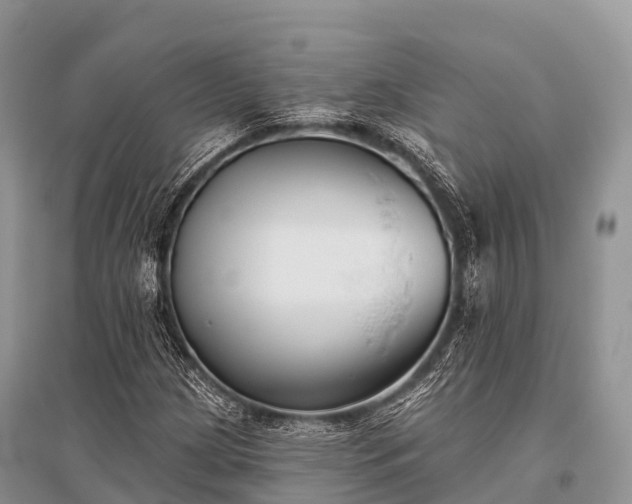 X0000096151209200801251057