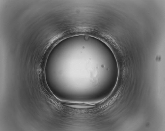 X0000096151210200801251057