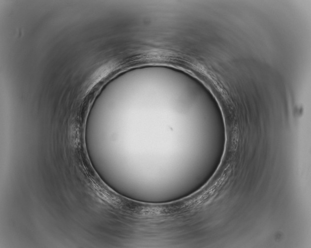 X0000096151211200801251057