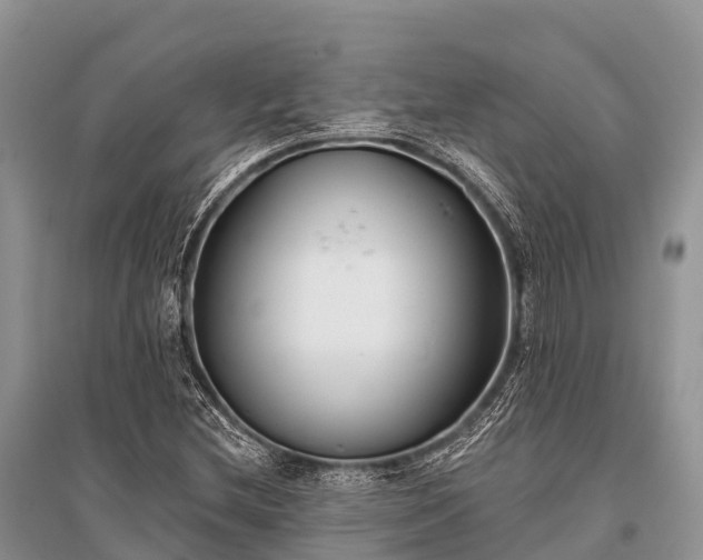 X0000096151212200801251057