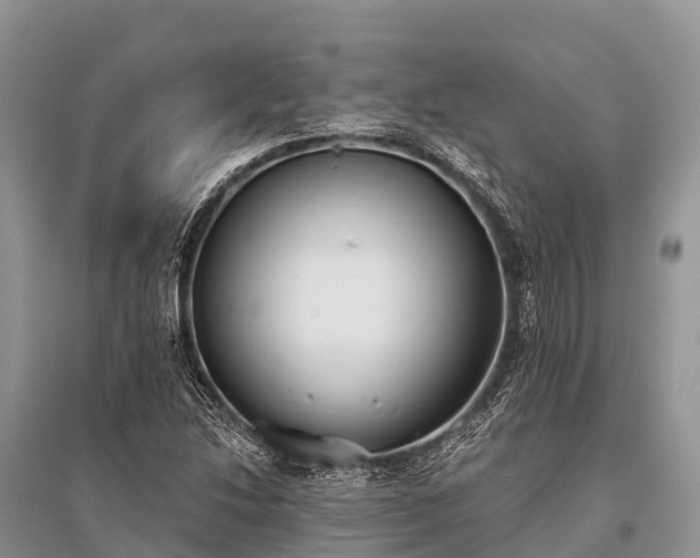 X0000096151214200801251057