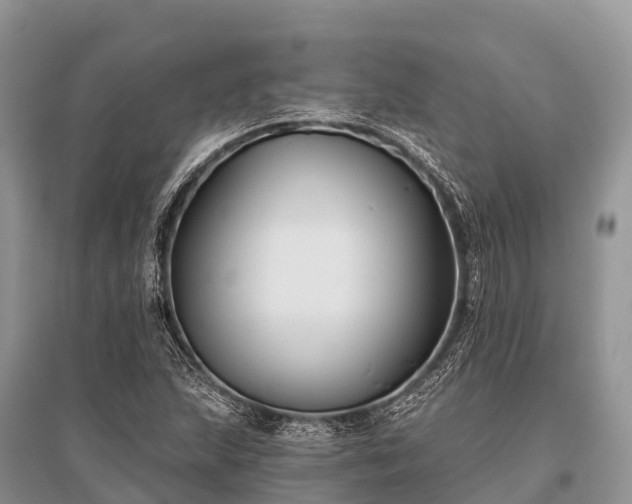 X0000096151215200801251057