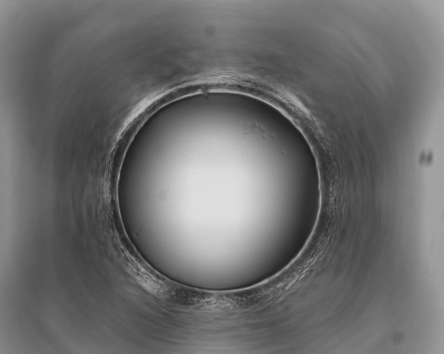 X0000096151216200801251057