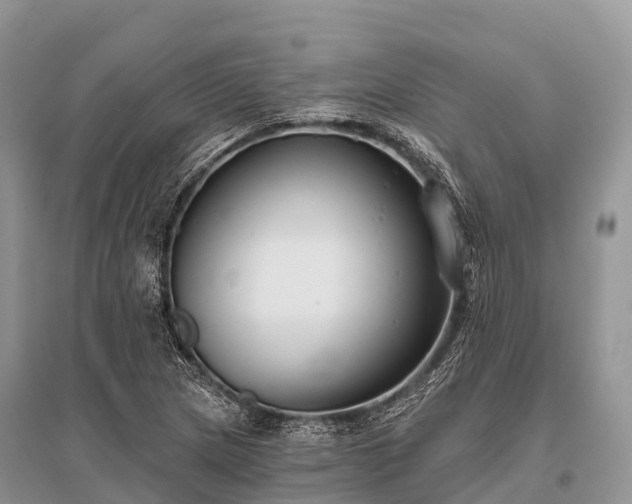 X0000096151217200801251057