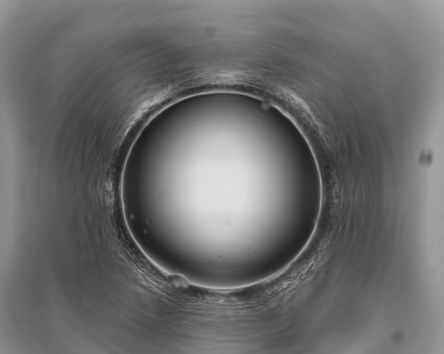 X0000096151218200801251057