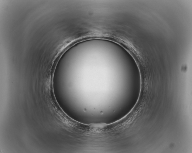 X0000096151220200801251057