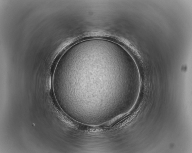 X0000096151221200801251057