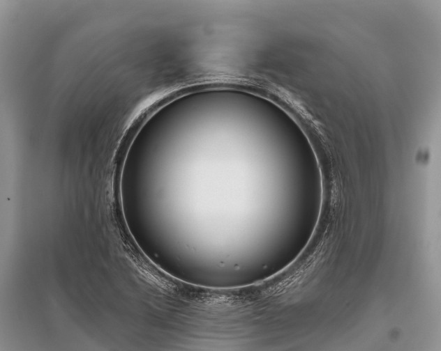 X0000096151222200801251057