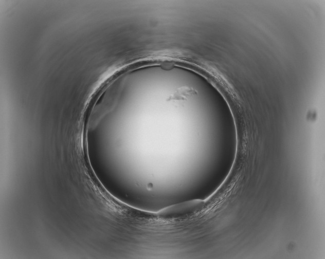 X0000096151224200801251057