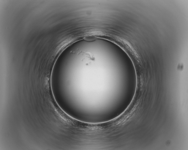 X0000096151225200801251057