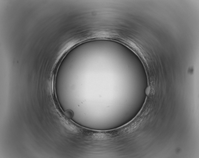 X0000096151227200801251057