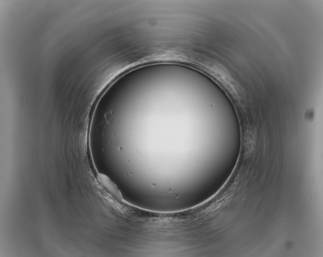 X0000096151228200801251057