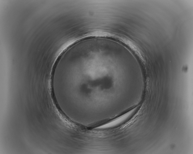 X0000096151229200801251057