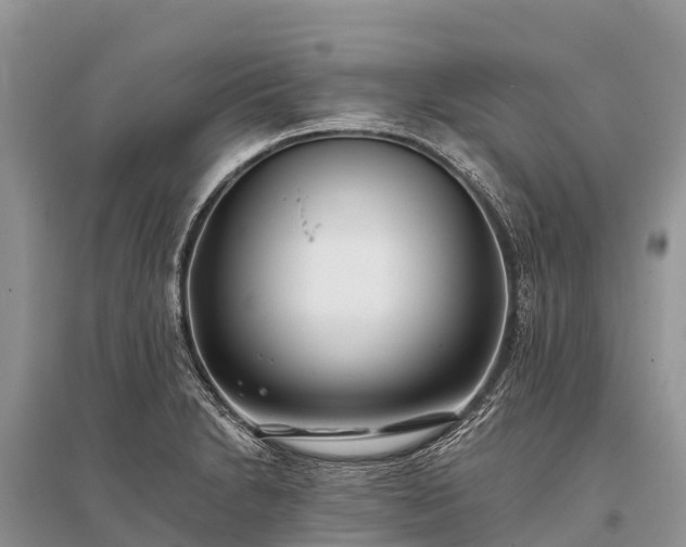 X0000096151230200801251057