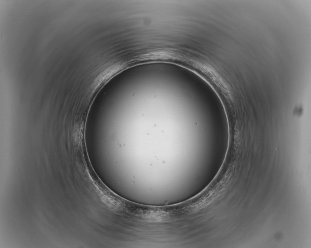 X0000096151233200801251057