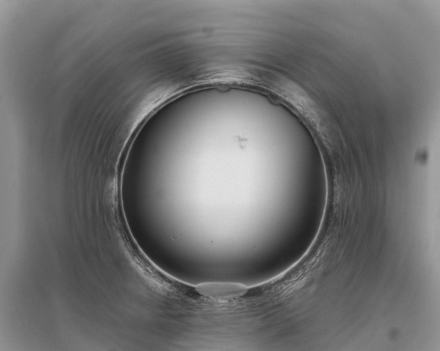 X0000096151234200801251057