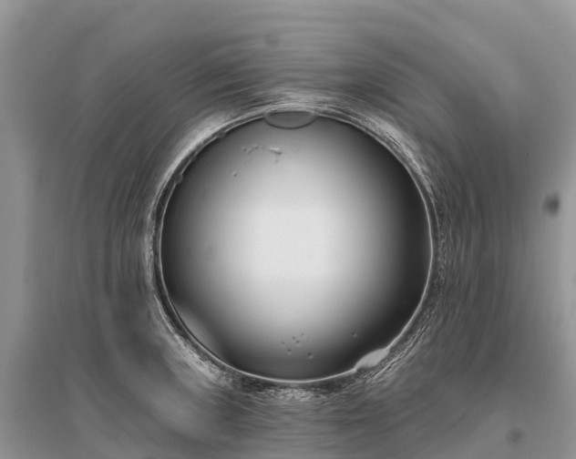 X0000096151235200801251057