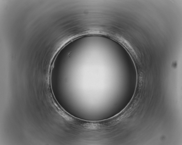 X0000096151236200801251057