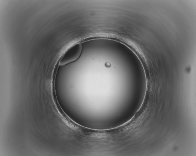 X0000096151237200801251057