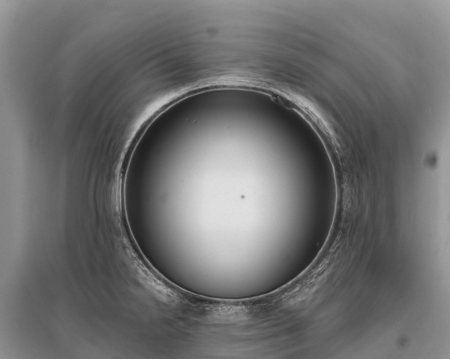 X0000096151238200801251057